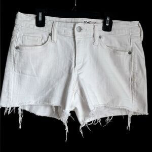 White Denim Jean Cut-off Shorts 8
